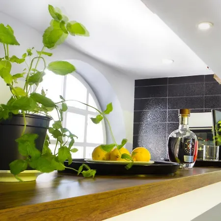 Sungarden Sajoszoged