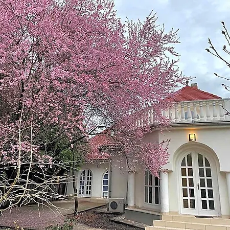 Bed & Breakfast Sungarden Vendeghaz 3*